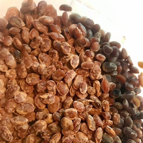 Dried Fermented Soybean - 100gms