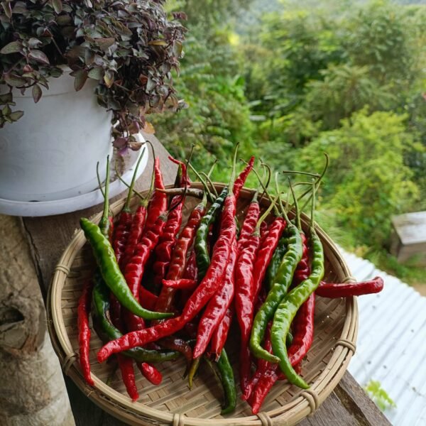 Sirarakhong Hathei Chilli - Image 3