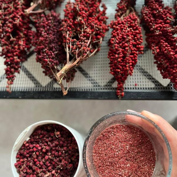 Dried Smooth Wild Sumac - 50gms - Image 2