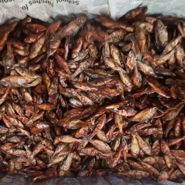 Smoked Common Barb Fish (Phabou Nga) - Image 2