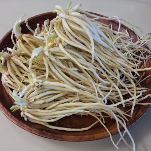 Allium Hookeri Roots (Hooker Chives)